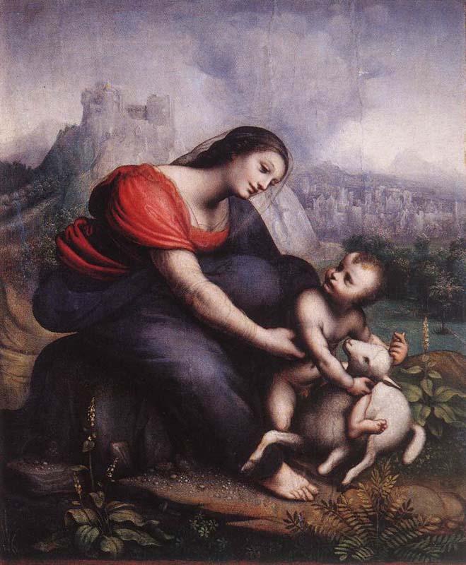 Cesare da Sesto Madonna and Child with the Lamb of God oil painting image